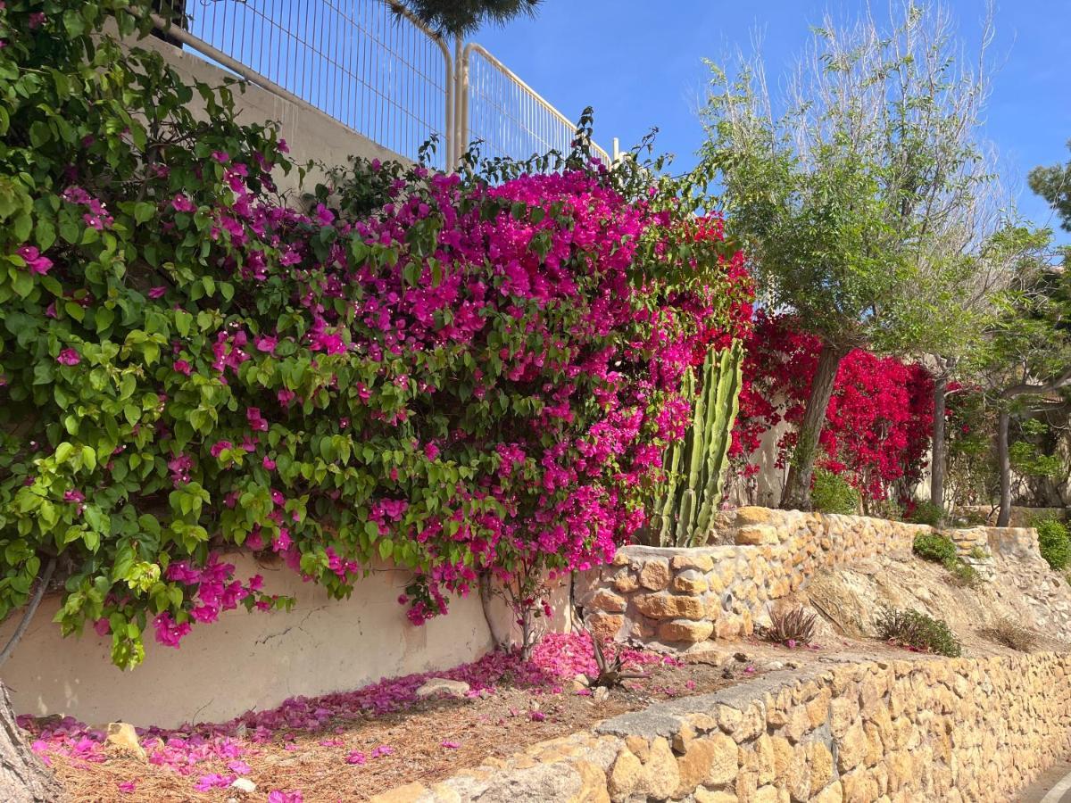 Roymar 14 Playa Daire Benidorm Dış mekan fotoğraf